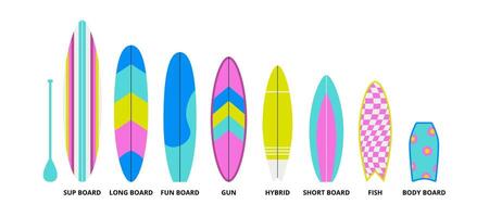 Collection different types of surfboards in various patterns vector