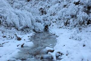 Mountain stream and trees in white snow. Adventure travel to Kyrgyzstan mountains. Hiking trail. Mountain tourism. Alpine scenery. Outdoor exploration, trekking, camping. Solitude, recreation. photo