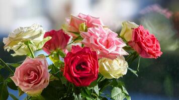 Bouquet of beautiful roses on the windowsill photo