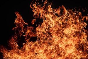 The Mesmerizing Flames Dance Gracefully Against the Pitchblack Backdrop, Creating an Enchanting and Captivating Scene photo