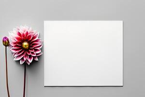 Mockup Cute Flower on White Background A Charming Display of Floral Elegance and Simplicity photo