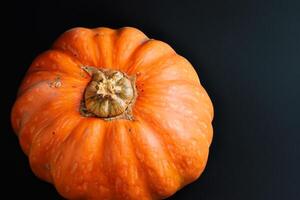 The Enchanting Beauty of Pumpkins A Celebration of Vibrant Colors and Autumnal Charm Capturing the Essence of Harvest Season in Every Curve and Contour photo