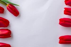 Beautiful Red Tulip Beauty on Blank Paper, Capturing Timeless Elegance and Vibrant Charm, Perfect for Artistic Presentations and Creative Projects photo