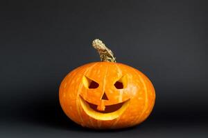 The Enchanting Beauty of Pumpkins A Celebration of Vibrant Colors and Autumnal Charm Capturing the Essence of Harvest Season in Every Curve and Contour photo