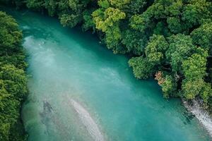 asombroso paisaje un hermosa río fluye mediante encantador aire y lozano árboles, creando un sereno y pintoresco natural refugio para todas a disfrutar foto