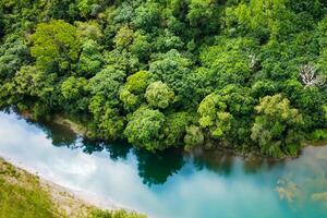 asombroso paisaje experiencia el belleza de un sereno río, encantador aire, y lozano arboles en un pintoresco ajuste ese cautiva el alma y refresca el espíritu foto