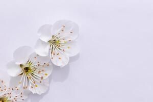 Beautiful Words on White Paper A Timeless Expression of Elegance and Simplicity Captured in Clean Lines and Crisp Edges, Offering a Pure and Classic Canvas for Thoughts and Creativity to Flourish photo