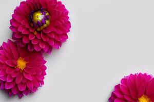 Mockup Cute Flower on White Background A Charming Display of Floral Elegance and Simplicity photo