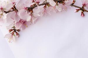 Graceful Harmony Beautiful Cherry Blossom on Blank Paper, Capturing Timeless Beauty and Serenity, Perfect for Artistic Presentations and Creative Projects photo