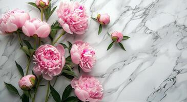 Pink Peonies on a White Marble Background photo