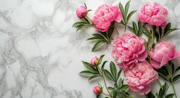 Pink Peonies on a White Marble Background photo