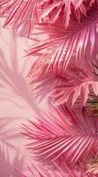 Pink Palm Leaf Shadows on a Pink Background photo