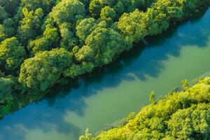 asombroso paisaje un hermosa río fluye mediante encantador aire y lozano árboles, creando un sereno y pintoresco refugio para naturaleza amantes a disfrutar y encontrar tranquilidad en el abrazo de naturaleza foto