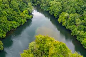 asombroso paisaje un hermosa río fluye mediante encantador aire y lozano árboles, creando un sereno y pintoresco natural refugio para todas a disfrutar foto