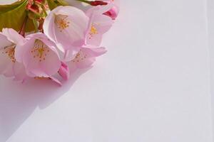 Beautiful Words on White Paper A Timeless Expression of Elegance and Simplicity Captured in Clean Lines and Crisp Edges, Offering a Pure and Classic Canvas for Thoughts and Creativity to Flourish photo