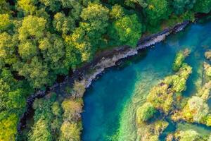 asombroso paisaje un hermosa río fluye mediante encantador aire y lozano árboles, creando un sereno y pintoresco natural refugio para todas a disfrutar foto