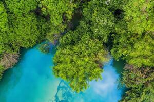 asombroso paisaje un hermosa río fluye mediante encantador aire y lozano árboles, creando un sereno y pintoresco refugio para naturaleza amantes a disfrutar y encontrar tranquilidad en el abrazo de naturaleza foto