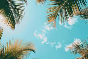 Blue Sky With Palm Trees photo