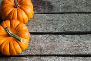 The Enchanting Beauty of Pumpkins A Celebration of Vibrant Colors and Autumnal Charm Capturing the Essence of Harvest Season in Every Curve and Contour photo