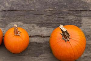 The Enchanting Beauty of Pumpkins A Celebration of Vibrant Colors and Autumnal Charm Capturing the Essence of Harvest Season in Every Curve and Contour photo