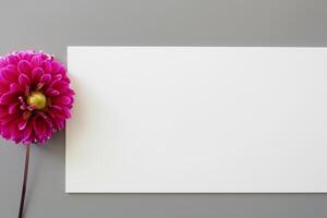 Cute Flower on White Background A Delicate Blossom in Serene Simplicity, Nature's Charming Creation photo