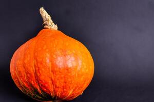 The Enchanting Beauty of Pumpkins A Celebration of Vibrant Colors and Autumnal Charm Capturing the Essence of Harvest Season in Every Curve and Contour photo