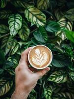 Person Holding Cup of Coffee in Front of Plant photo