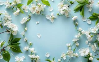 White Flowers and Green Leaves on Blue Background photo