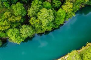 asombroso paisaje un hermosa río fluye mediante encantador aire y lozano árboles, creando un sereno y pintoresco natural refugio para todas a disfrutar foto