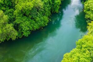 Breathtaking Landscape A Beautiful River Flows Through Charming Air and Lush Trees, Creating a Serene and Picturesque Natural Haven for All to Enjoy photo