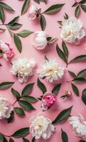 Pink and White Flowers on a Pink Background photo