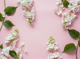 Pink Background With White Flowers and Leaves photo