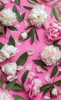 Pink and White Flowers on a Pink Background photo