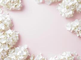 Pink Background With White Flowers and Leaves photo