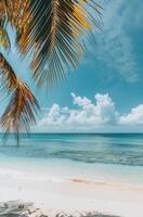 Ocean View From Sandy Beach photo