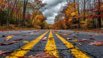 Road With Yellow Line photo