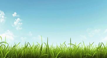 Grassy Field Under Blue Sky photo