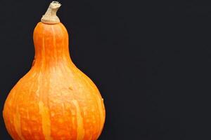 The Enchanting Beauty of Pumpkins A Celebration of Vibrant Colors and Autumnal Charm Capturing the Essence of Harvest Season in Every Curve and Contour photo