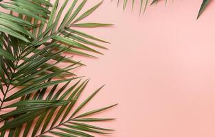 Palm Leaves on a Pink Background photo