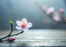 A single Tung Blossom in a minimalist setting, emphasizing its intricate details and beauty photo