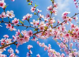 Tung Blossom branches swaying in a gentle breeze against a clear blue sky photo