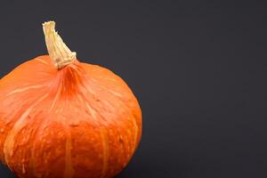 The Enchanting Beauty of Pumpkins A Celebration of Vibrant Colors and Autumnal Charm Capturing the Essence of Harvest Season in Every Curve and Contour photo