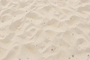 abrazando el belleza de natural motivo playa, un tranquilo tapiz de la tierra patrones foto