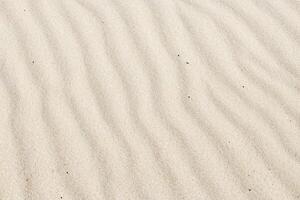 de la naturaleza elegancia playa como un hermosa natural motivo, dónde la tierra arte desvela un tapiz de delicado patrones y calentar matices, transformando playas dentro eterno obras maestras foto