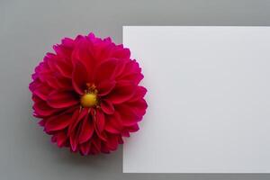 Beautiful Red Flower on White Background Mockup Capturing the Timeless Elegance of Floral Simplicity photo