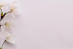Beautiful Words on White Paper A Timeless Expression of Elegance and Simplicity Captured in Clean Lines and Crisp Edges, Offering a Pure and Classic Canvas for Thoughts and Creativity to Flourish photo
