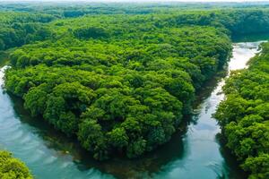 asombroso paisaje un hermosa río fluye mediante encantador aire y lozano árboles, creando un sereno y pintoresco refugio para naturaleza amantes a disfrutar y encontrar tranquilidad en el abrazo de naturaleza foto