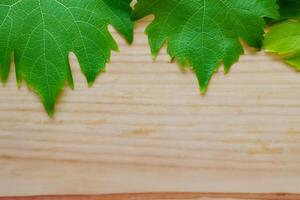 The Timeless Beauty of Vine Leaves on a Rustic Wood Background Captures the Essence of Nature's Elegance in Every Delicate Vein and Texture photo