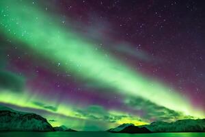 hermosa Aurora de la naturaleza deslumbrante ligero espectáculo pinturas el noche cielo con magnífico colores, fascinante público en todo el mundo en temor foto