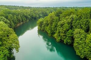 asombroso paisaje un hermosa río fluye mediante encantador aire y lozano árboles, creando un sereno y pintoresco natural refugio para todas a disfrutar foto